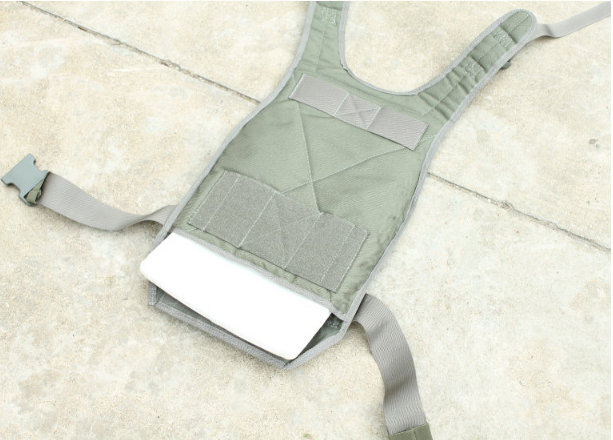 TMC MOLLE RRV Back Panel ( FG )