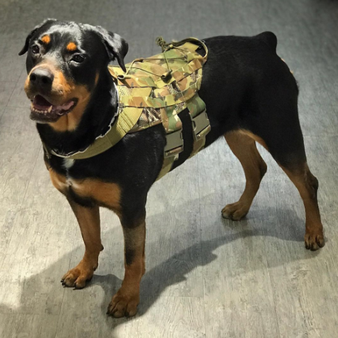 TMC Med size Dog Vest ( Multicam )