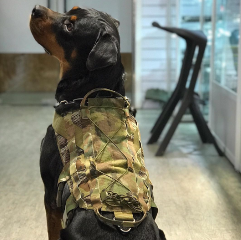 TMC Med size Dog Vest ( Multicam )