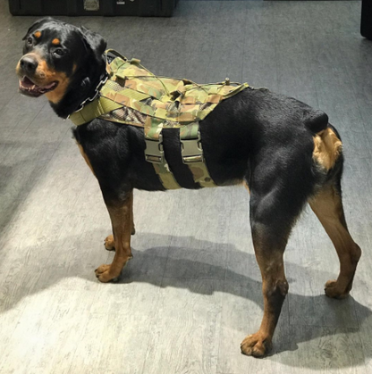 TMC Med size Dog Vest ( Multicam )